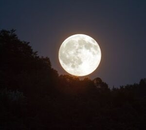 Lire la suite à propos de l’article Saviez-vous que la lune influence nos émotions ?